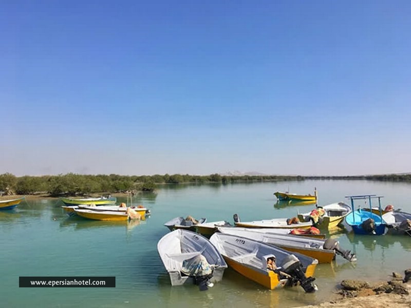گشت با قایق در جنگل جرا